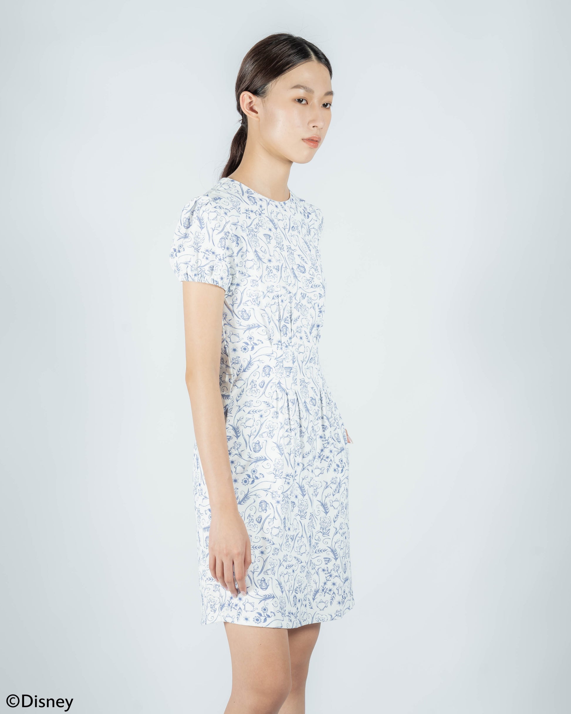 Alice In Wonderland Floral Printed Dress (Printed)