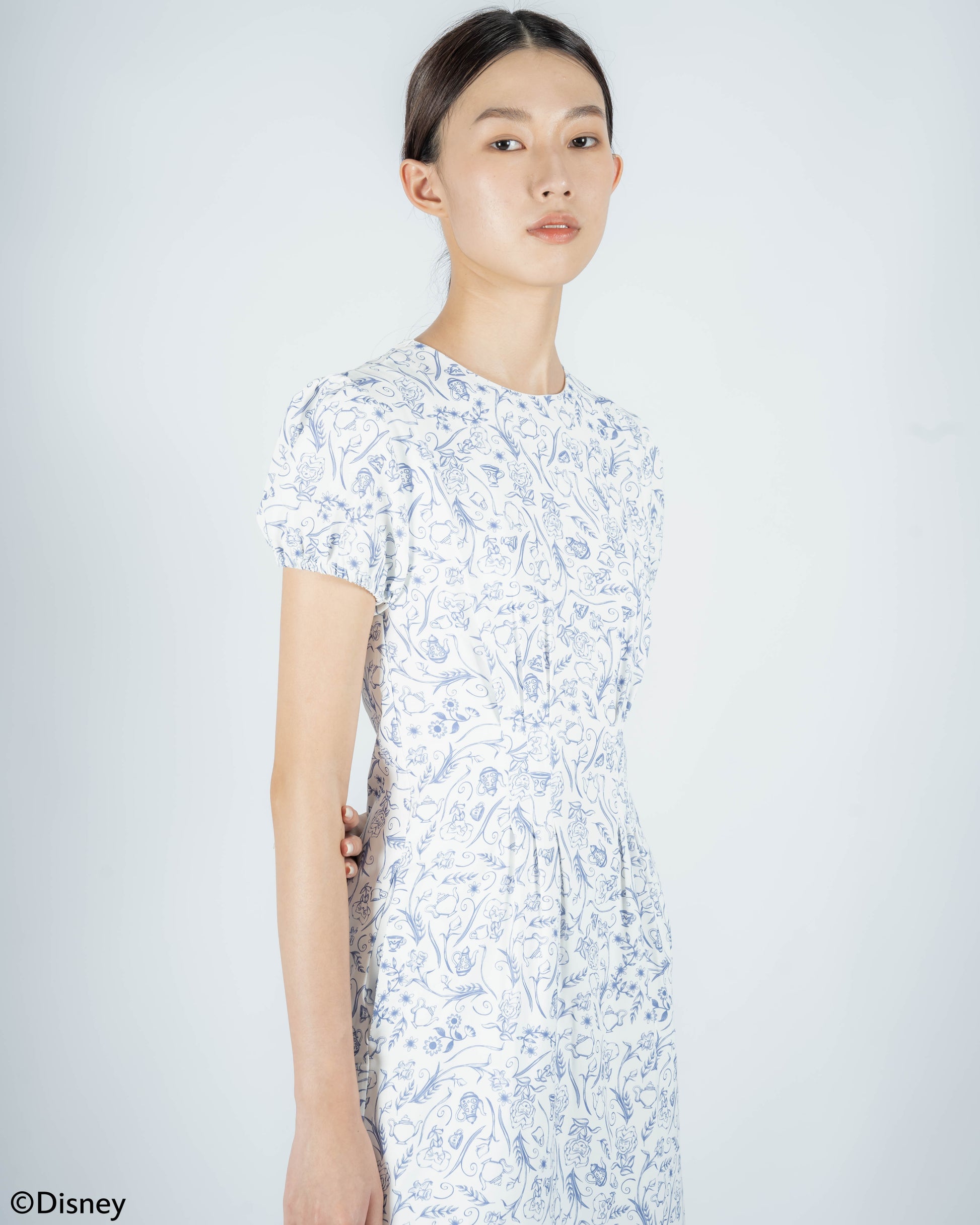 Alice In Wonderland Floral Printed Dress (Printed)