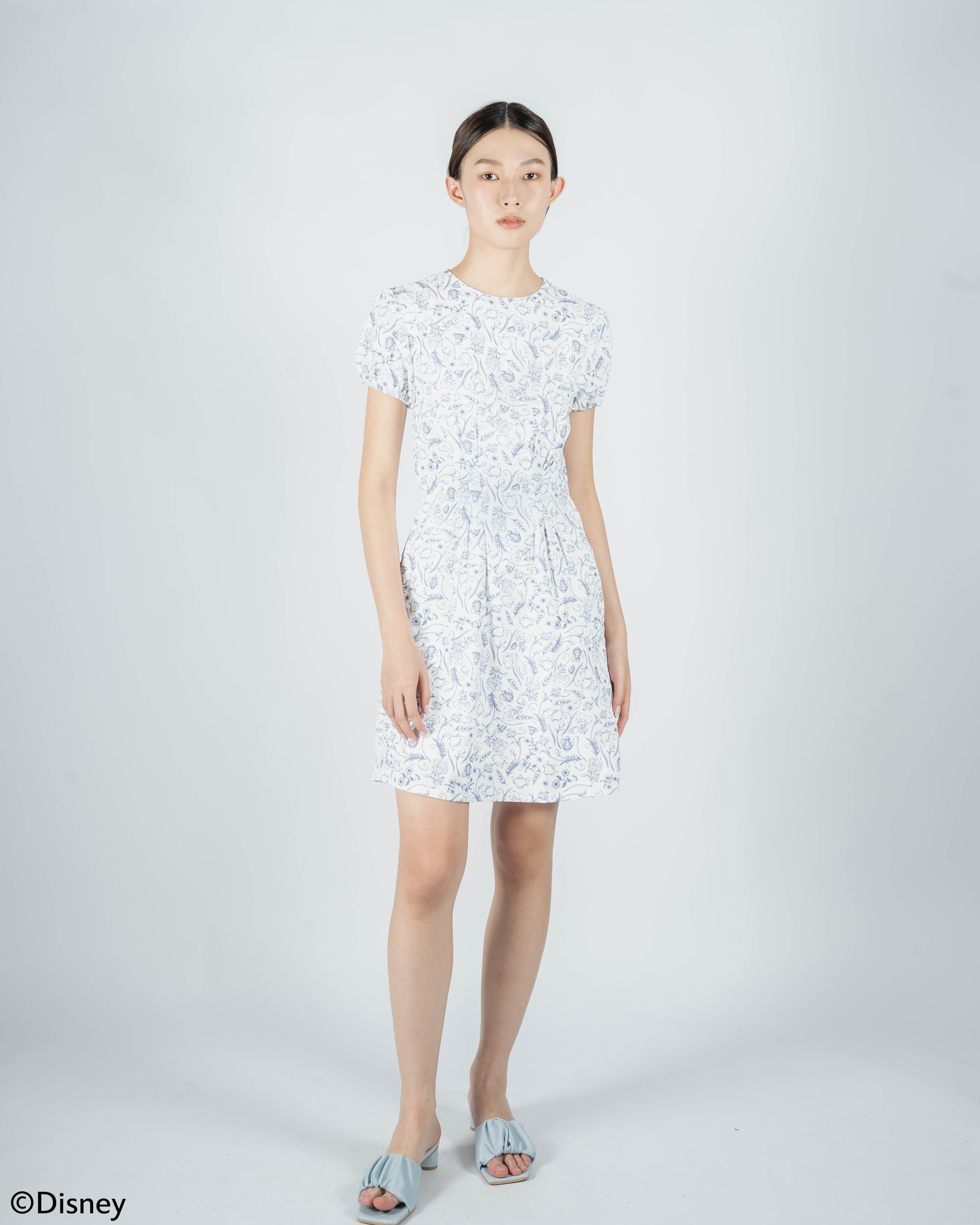 Alice In Wonderland Floral Printed Dress (Printed)