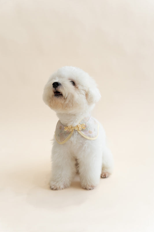 Pets Pastel Gleam Floral Cheongsam Collar (Beige Yellow)