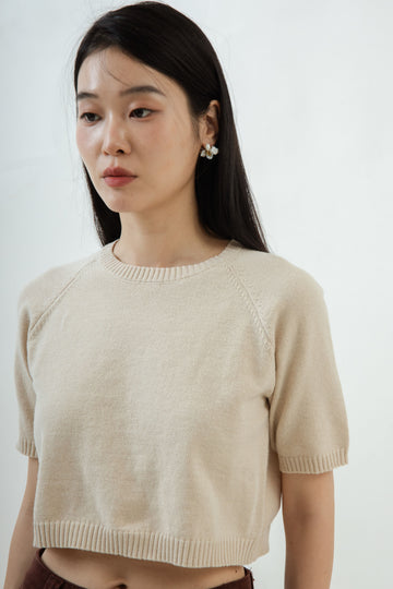 Raglan Round Neck Knit Top (Beige)