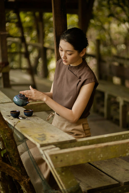 Oriental High Collar Top (Brown)