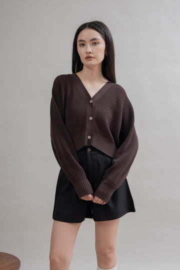 V Neck Button Knit Cardigan (Brown)