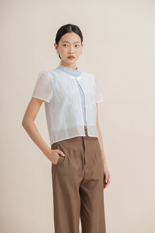 Sheer Blossom Embroidery Puffy Sleeve Top (Pastel Blue)