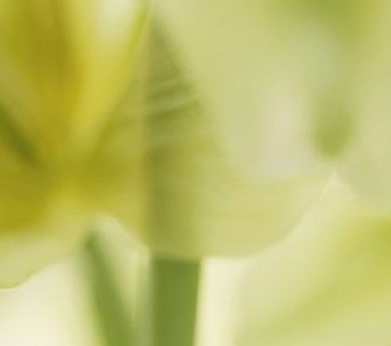 Botanical green-yellow petals