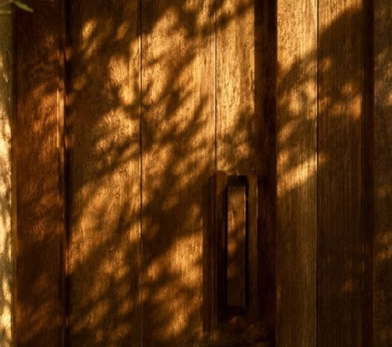 Warm brown timber in dappled light